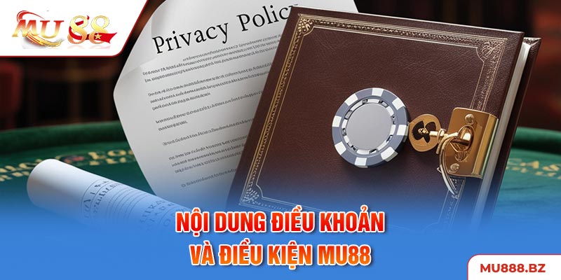 Các điều khoản điều kiện đối với hội viên